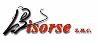 Societ� di consulenza e di formazione